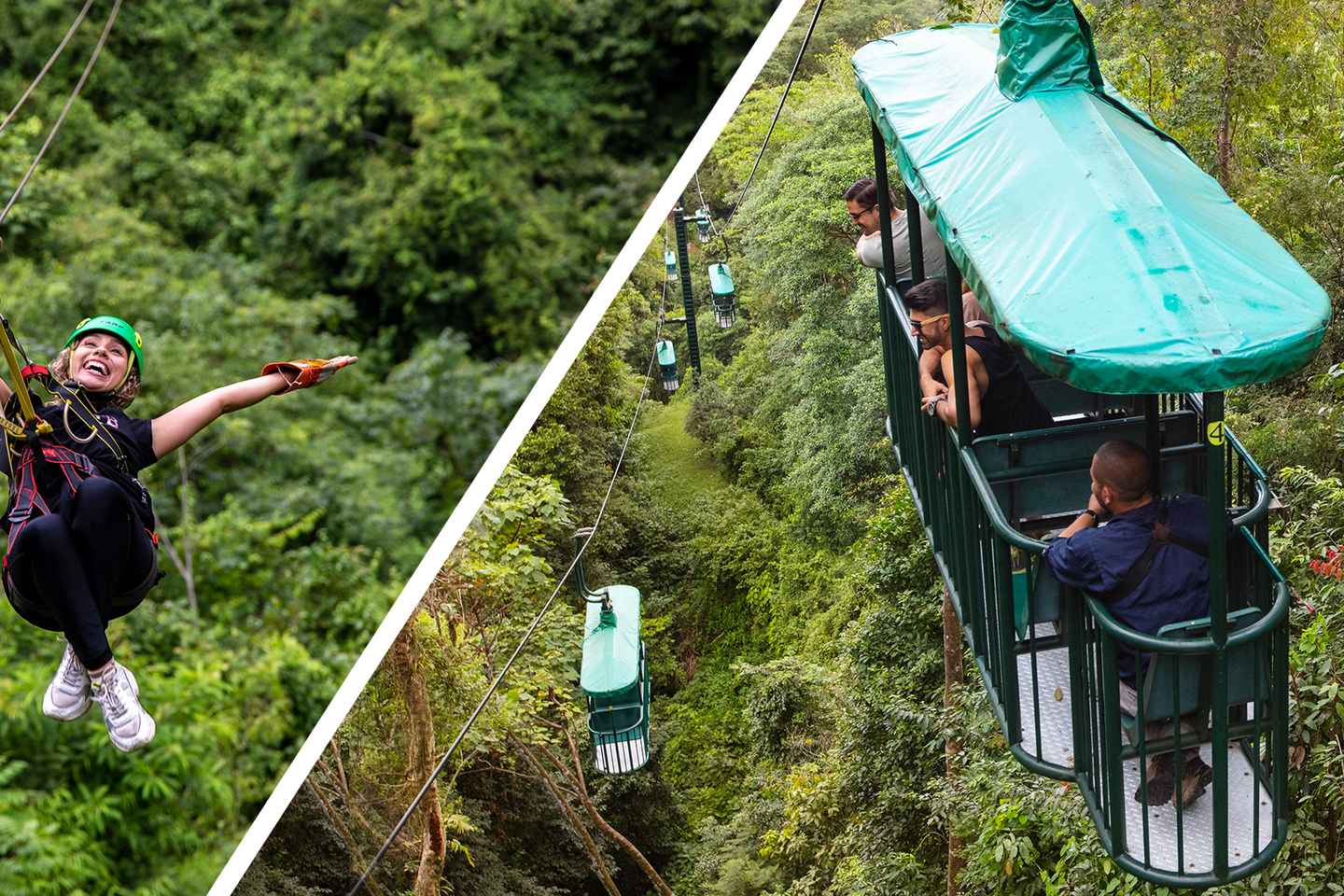 bachelor party in jaco costa rica | see the forest canopy up-close in stunning tranopy tour