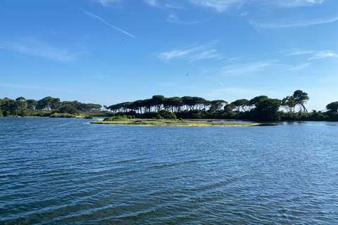 Yacht Me Up Cruzeiro Privado com Tudo Incluído Cannes Lérins SailUm dia na baía de Cannes com tudo incluído