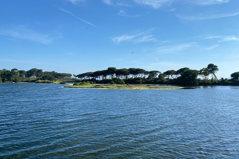 Yacht Me Up Cruzeiro Privado com Tudo Incluído Cannes Lérins SailUm dia na baía de Cannes com tudo incluído