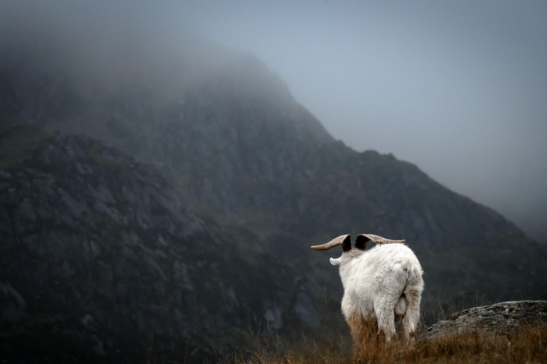 Treinreis naar Noord-Wales vanuit LondenStandaard klasse treinreizen