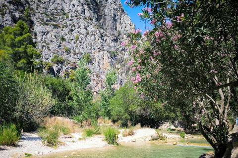 From Alicante: Algar Waterfalls&Privat Transfer&Ticket