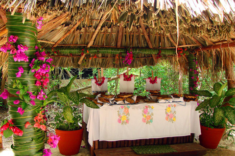 From Riviera Maya: Xel-Há All-Inclusive Park Entrance to Xel-Há Park with Lunch Included