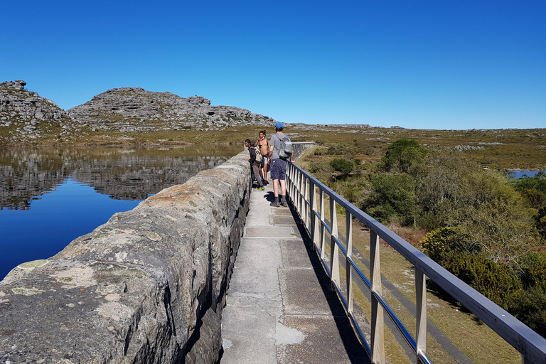 Cape Town: the Mountain, the Garden and the Vineyard