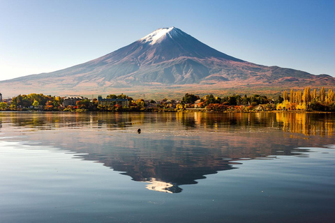 Tokyo: Full-day tour of the four Majestic spots of Mt Fuji