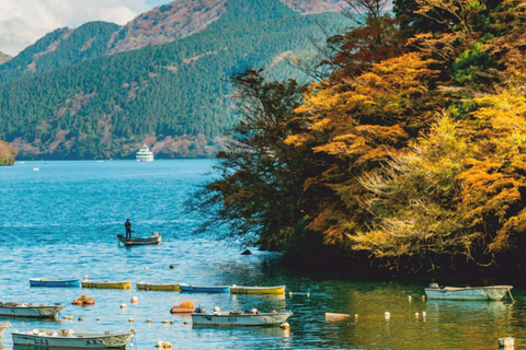 Tokyo: Mount Fuji Full-Day Private Trip Guided(Customizable) Mount Fuji Full-Day Private Tour Customizable