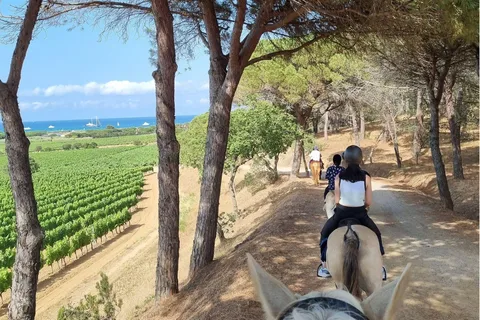 Passeggiata a cavallo + degustazione di vini a Ramatuelle
