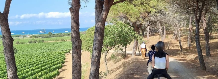 Randonnée à cheval + dégustation de vin à Ramatuelle