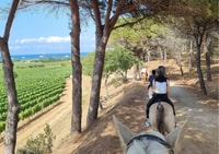 Reiten + Weinprobe in Ramatuelle - Hizvo