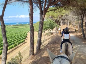 Horse back riding + wine tasting in Ramatuelle