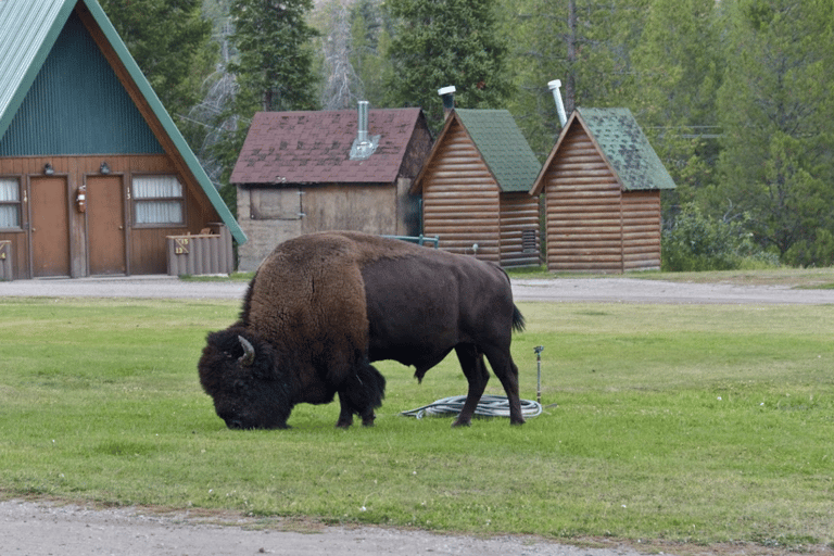 Las Vegas: 5-Day Tour to Salt Lake City with Accommodation Quad Occupancy