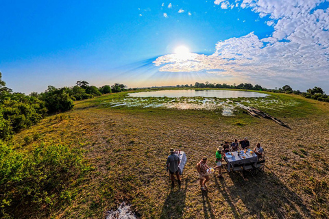 Mokoro Safari Experience in the Okavango Delta