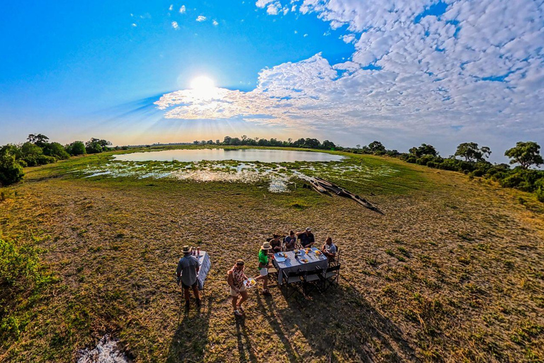 Mokoro Safari Experience in the Okavango Delta