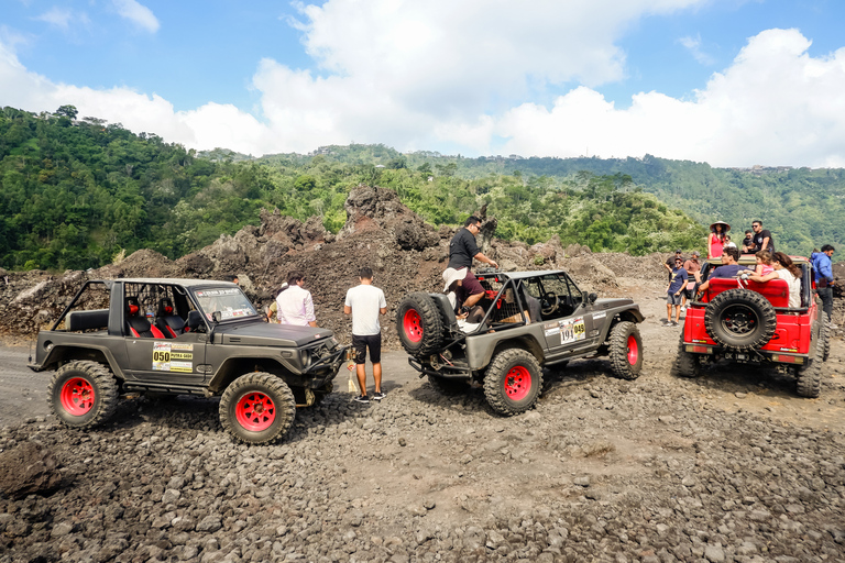 Mount Batur: Sunrise Jeep Tour &amp; Natural Hot SpringPrivat tur med transfer