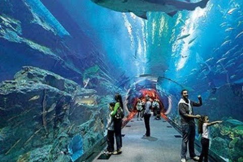 Mexico City: Inbursa Aquarium Entry with Hotel Transfer
