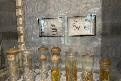 Tbilisi: Silk Museum Guided Tour