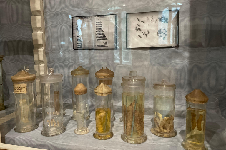 Tbilisi: Silk Museum Guided Tour