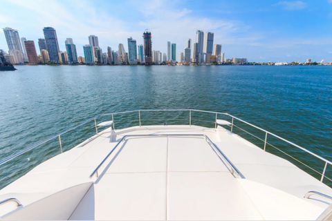 Kartagena: rejs katamaranem 43 Leopard po wyspach RosarioKartagena: 8-godzinny rejs katamaranem Leopard 43 po wyspach Rosario