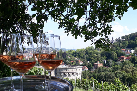 Wurtzbourg : rallye dans les vignobles avec dégustation de vins et dynamique de groupeWuerzburg : rallye dans les vignobles avec dégustation de vin et dynamique de groupe