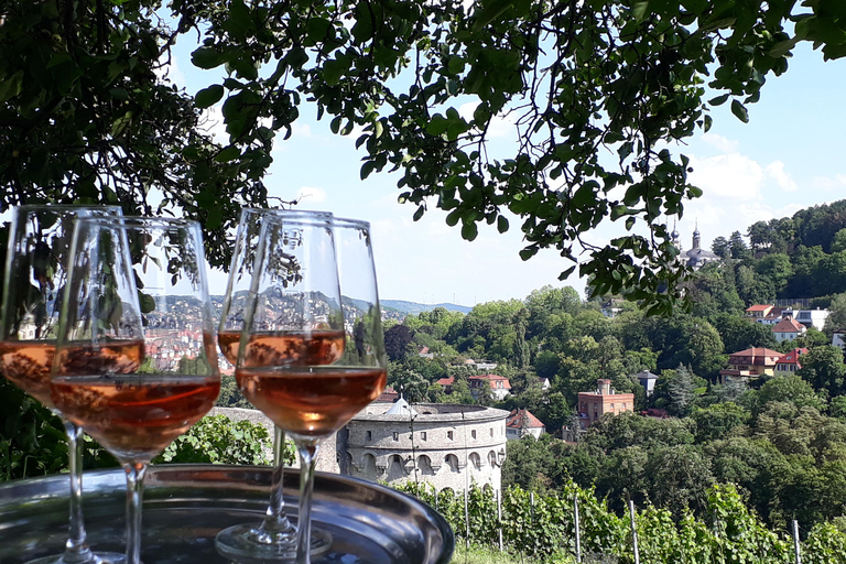 Wurtzbourg : rallye dans les vignobles avec dégustation de vins et dynamique de groupeWuerzburg : rallye dans les vignobles avec dégustation de vin et dynamique de groupe