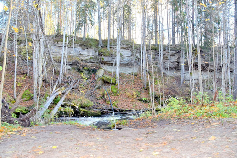 Descubre Estonia - excursión en coche a la ciénaga de Viru y a las cascadas.