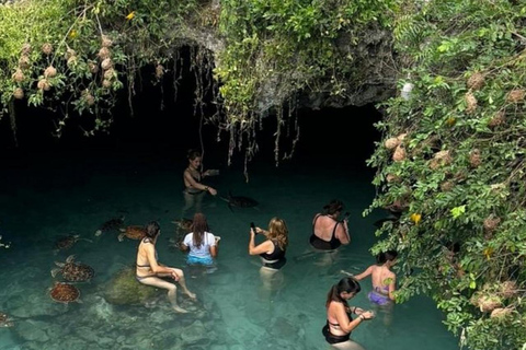 Zanzibar: Jozani Forest & Salaam Cave Sea Turtles Swim Tour Option Without Hotel Transfers