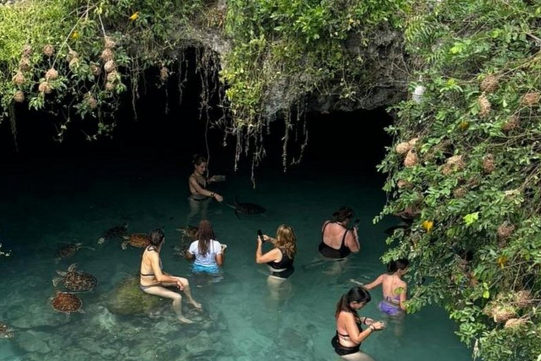 Zanzibar: Jozani Forest & Salaam Cave Sea Turtles Swim Tour Option Without Hotel Transfers