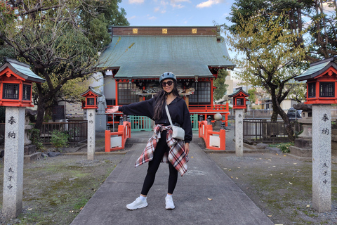 La città di Fuji: Tour panoramico in E-Bike del Monte Fuji