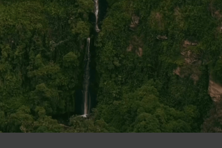 Quito waterfalls: Waterfalls, Horseback Riding, Bees, Canopy Cascadas