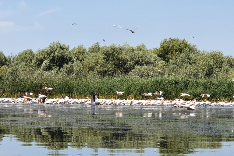 Desde Bucarest: excursión privada de un día a Constanta y MamaiaDesde Budapest: excursión privada de un día a Constanta y Mamaia