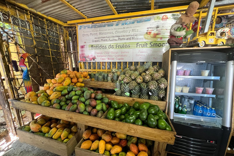 El Yunque Rainforest; Waterslides, Beach, Dine and Shop Tour El Yunque Rainforest Waterslides and Beach Tour