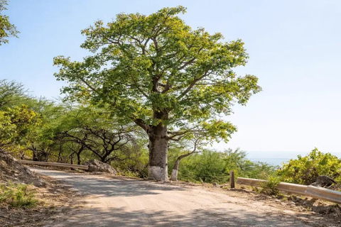 From Salalah: East Salalah Full-Day Guided Tour with Pickup