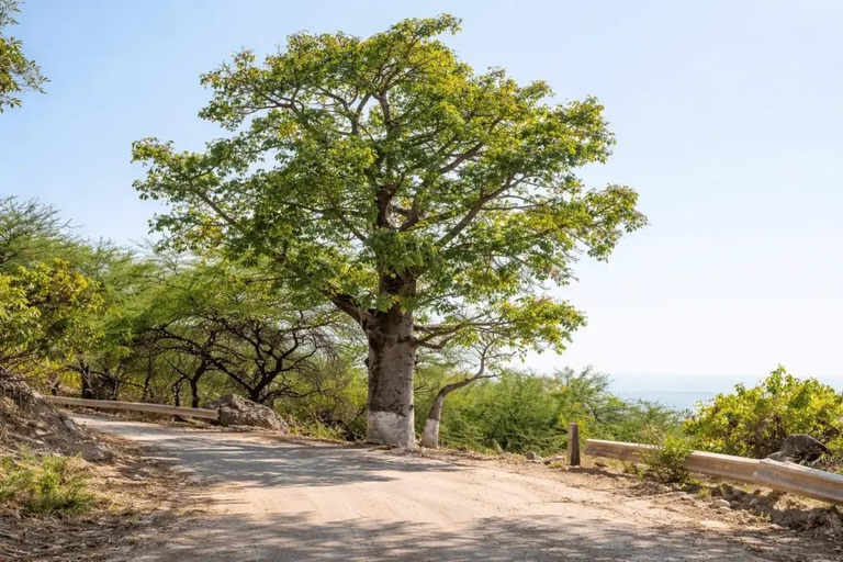 From Salalah: East Salalah Full-Day Guided Tour with Pickup