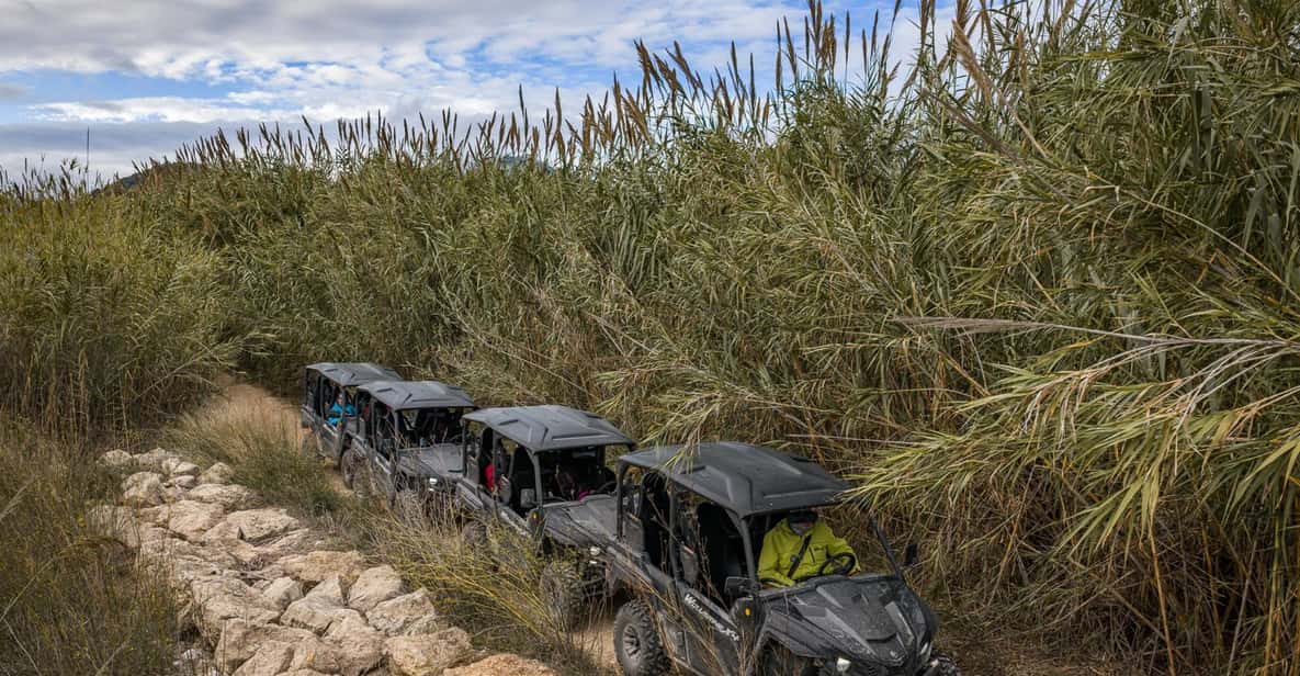 Afbeelding 2 van Benidorm: buggyjungle of Algar-watervallen