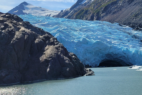 Anchorage: Portage Glacier en Wildlife Explorer Cruise