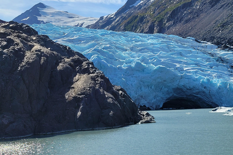 Anchorage: Portage Glacier en Wildlife Explorer Cruise