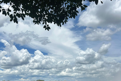 Victoria Falls: Guided Tour with Big Tree & Market Visit