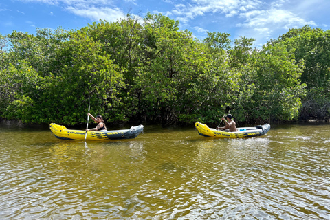 Fort Lauderdale: Kayak & Paddleboard Mangroves Eco Adventure