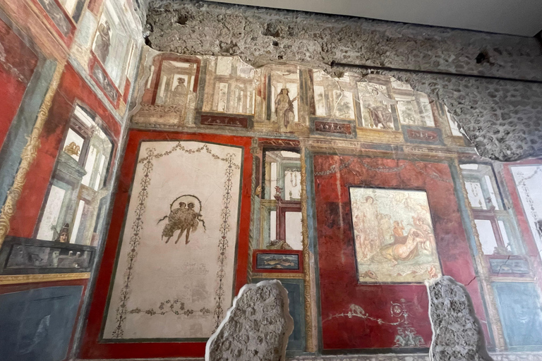 From Positano : Pompeii &amp; Winery All Inclusive Tour