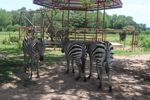 Coron; Calauit Safari Isla Negra Almuerzo y traslado incluidos