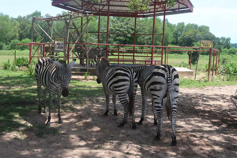 Coron; Calauit Safari Black Island Lunch &amp; Transfer included