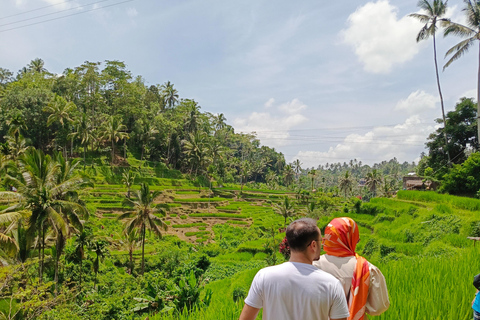 Ubud: Coche chárter privado 10 horas.