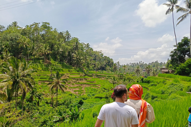 Ubud: Coche chárter privado 10 horas.