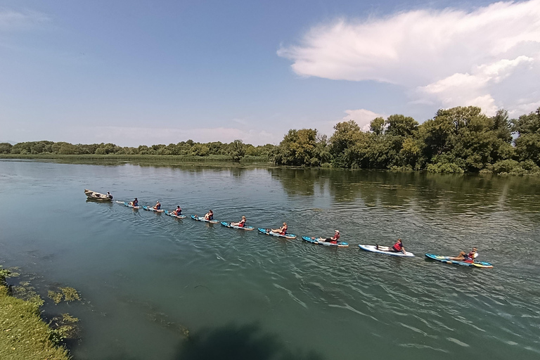 Shkodra Lake: Self-Guided Paddle Board or Kayak Tour