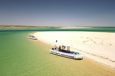 Algarve: Open Jeep Adventure, Flamingos & Ria Formosa Trip