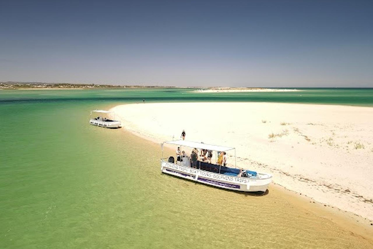 Algarve: Open Jeep Adventure, Flamingos & Ria Formosa Trip