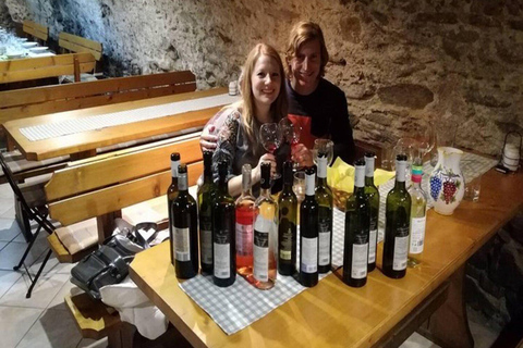 Bratislava: Cerveny Kamen Castle and Wine Tasting Tour