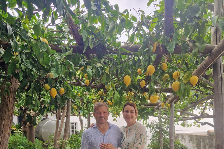 Amalfi Coast: The Lemon Trail