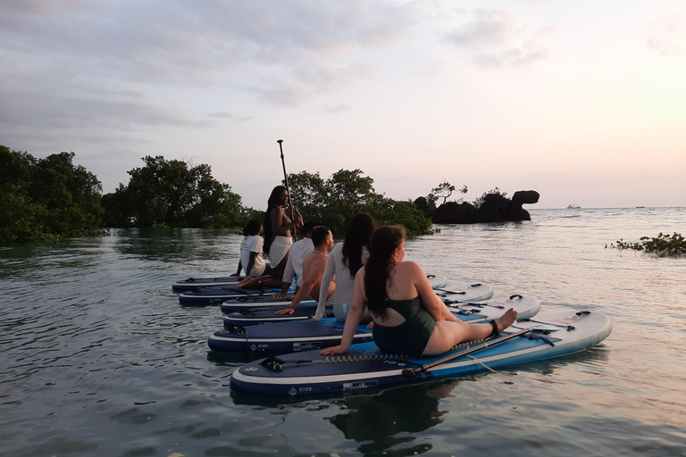 Zanzibar: Unik guidad mangrovetur med SUP eller kajak