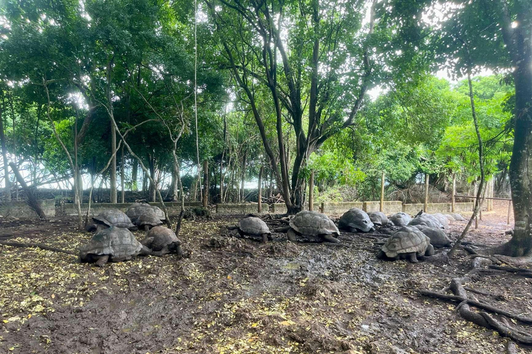 Zanzibar: tour delle piantagioni di spezie, Prison Island con giro in barcaTour privato con servizio di prelievo e rientro in hotel incluso