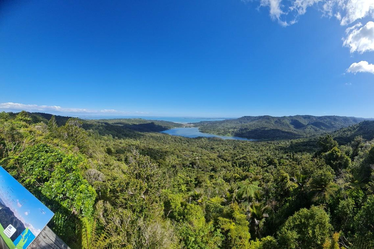 Auckland: Solnedgångstur med termisk pool och utsikt över natten